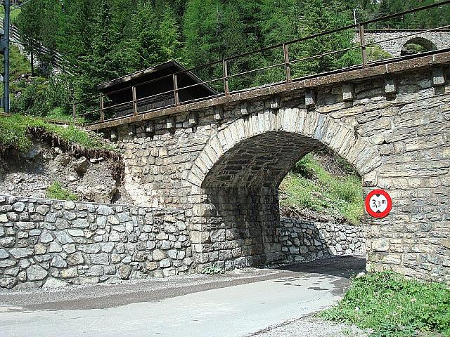 Albula